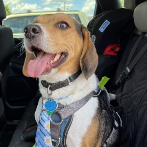 Fundraising Page: Gavin Dushko